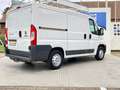 Fiat Ducato 130 L1H1 RS: 3000 mm AHK Weiß - thumbnail 4