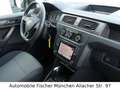 Volkswagen Caddy Nfz Kasten 4Motion*AHK*Sortimo*Standhz* Weiß - thumbnail 14