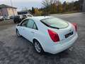 Nissan Primera Acenta Weiß - thumbnail 9
