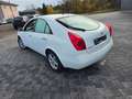 Nissan Primera Acenta Weiß - thumbnail 11