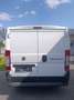 Fiat Ducato Maxi 250 Weiß - thumbnail 5