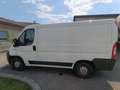 Fiat Ducato Maxi 250 Weiß - thumbnail 3