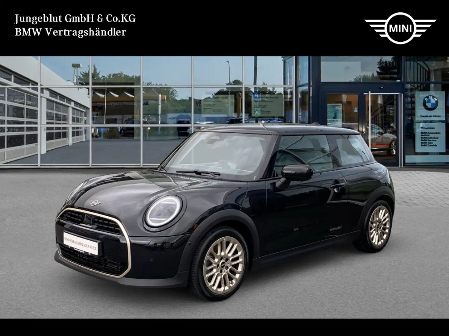 MINI Favoured Trim  Lenkrad&Sitzhg./HeadUp/LED-Scheinw. Schwarz - 1