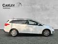 Ford Focus LCI Zahnriemen neu TÜV neu SYNC Weiß - thumbnail 8