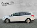 Ford Focus LCI Zahnriemen neu TÜV neu SYNC Weiß - thumbnail 4