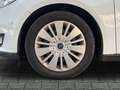 Ford Focus LCI Zahnriemen neu TÜV neu SYNC Weiß - thumbnail 9