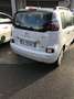 Citroen C3 Picasso executive automatica - thumbnail 2