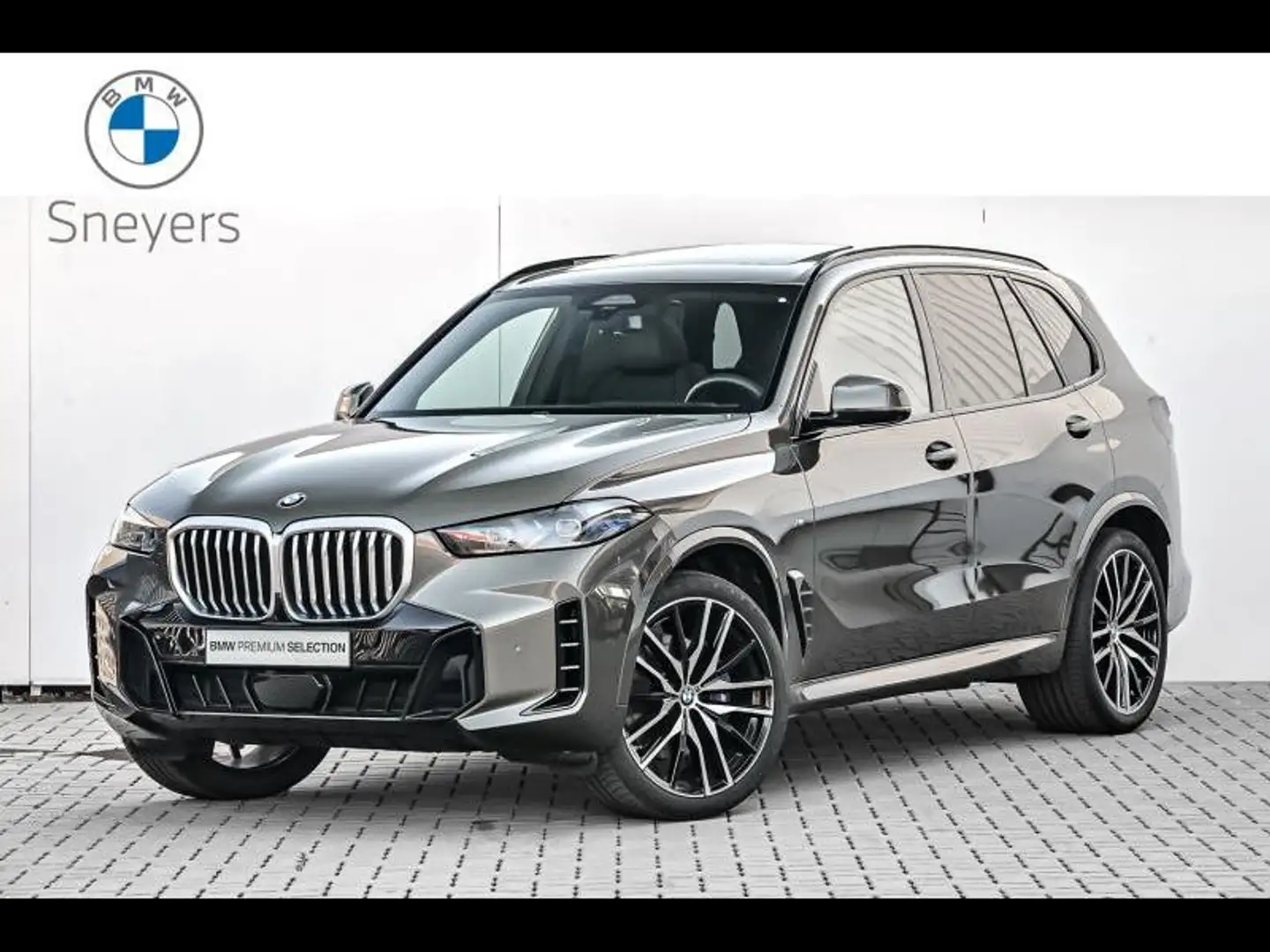 BMW X5 xDrive 30d Maro - 1