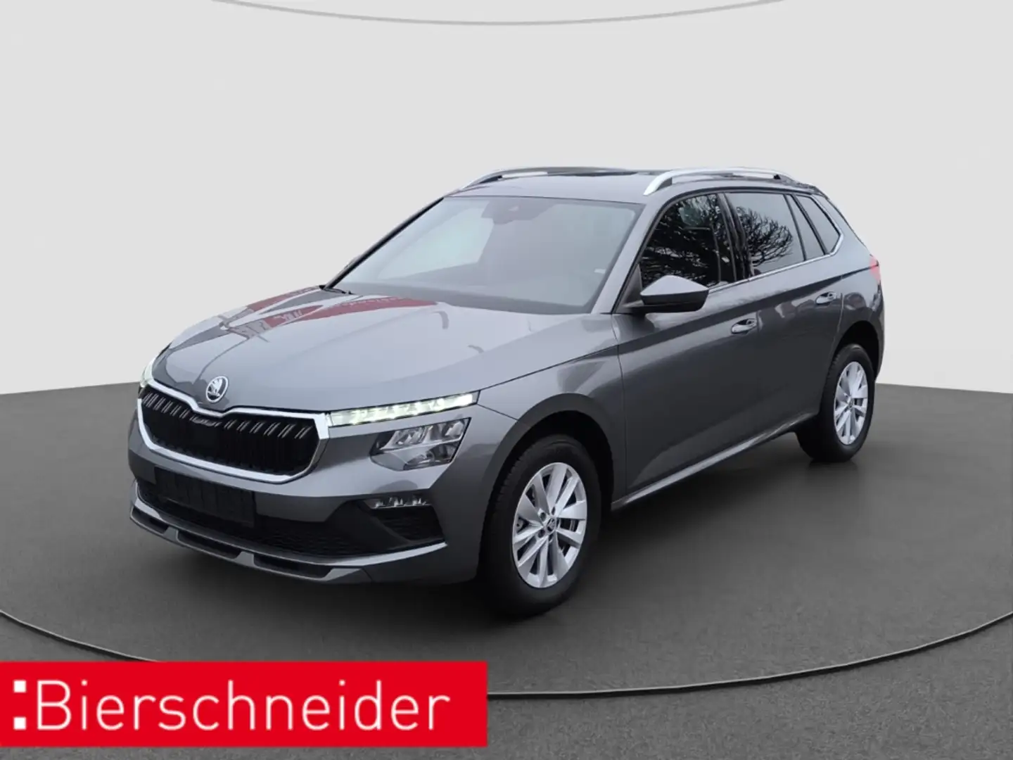 Skoda Kamiq 1.0 TSI DSG Selection ACC LED PDC Grau - 1