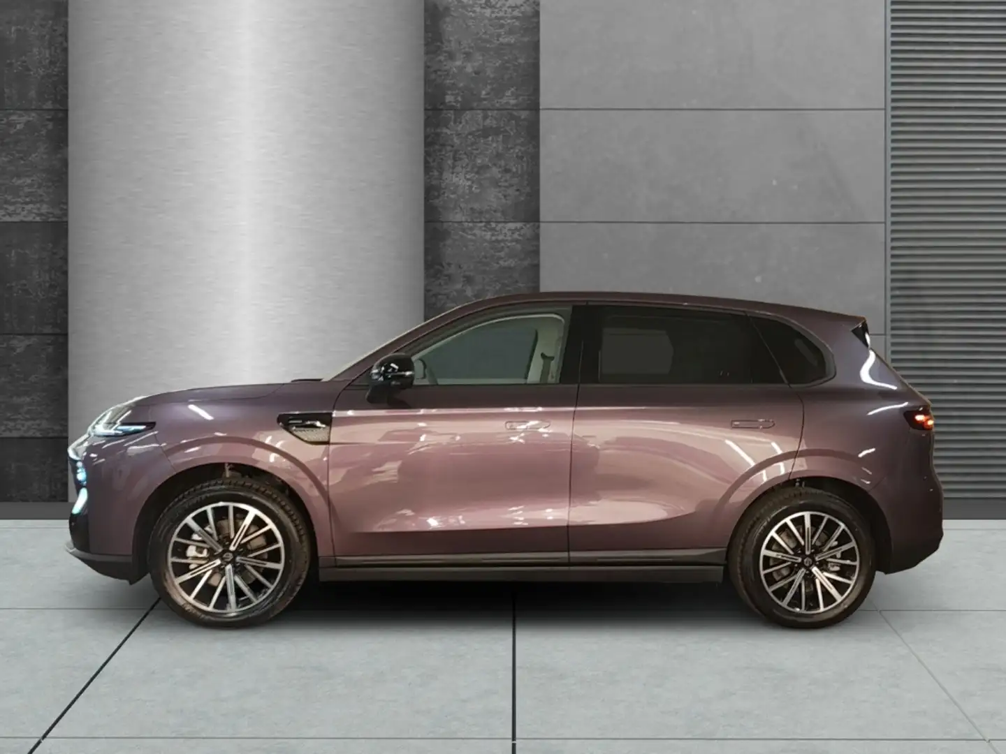 Leapmotor Design Pro Max Panorama Navi Leder Digitales Cockp Mauve - 2