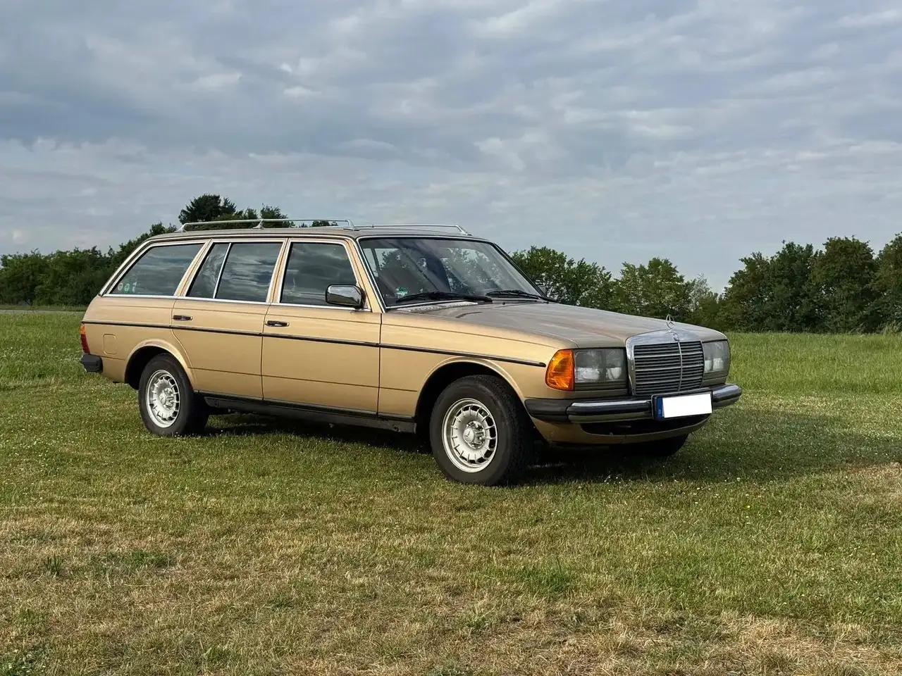 Mercedes-Benz 280 W123 280 TE, foto 9