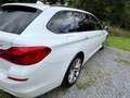 BMW 520 520d xDrive Touring Aut.Sport Line Weiß - thumbnail 8