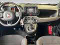 Fiat Panda Sport 1.0 Hyb 70 Schwarz - thumbnail 11