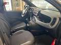 Fiat Panda Sport 1.0 Hyb 70 Schwarz - thumbnail 10