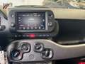 Fiat Panda Sport 1.0 Hyb 70 Schwarz - thumbnail 13