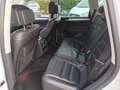 Volkswagen Touareg Touareg  3.0 V6 tdi  204cv tiptronic  r line Bianco - thumbnail 6
