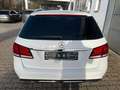 Mercedes-Benz E 200 T CGI Avantgarde/AUTOM./Navi/LED/SHZ/Garant Blanco - thumbnail 5