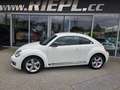 Volkswagen Beetle Sport Xenon Klimaanlage Lederlenkrad Sportfahrwerk Weiß - thumbnail 4