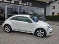 Volkswagen Beetle Sport Xenon Klimaanlage Lederlenkrad Sportfahrwerk Weiß - thumbnail 5