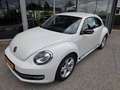 Volkswagen Beetle Sport Xenon Klimaanlage Lederlenkrad Sportfahrwerk Weiß - thumbnail 38