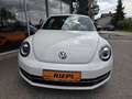 Volkswagen Beetle Sport Xenon Klimaanlage Lederlenkrad Sportfahrwerk Weiß - thumbnail 39