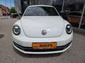 Volkswagen Beetle Sport Xenon Klimaanlage Lederlenkrad Sportfahrwerk Weiß - thumbnail 2