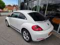 Volkswagen Beetle Sport Xenon Klimaanlage Lederlenkrad Sportfahrwerk Weiß - thumbnail 40