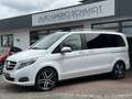 Mercedes-Benz V 250 d AVANTGARDE EDITION 4MATIC 360 Burmester Weiß - thumbnail 2