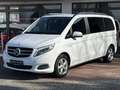 Mercedes-Benz V 250 d AVANTGARDE EDITION 4MATIC 360 Burmester Weiß - thumbnail 22
