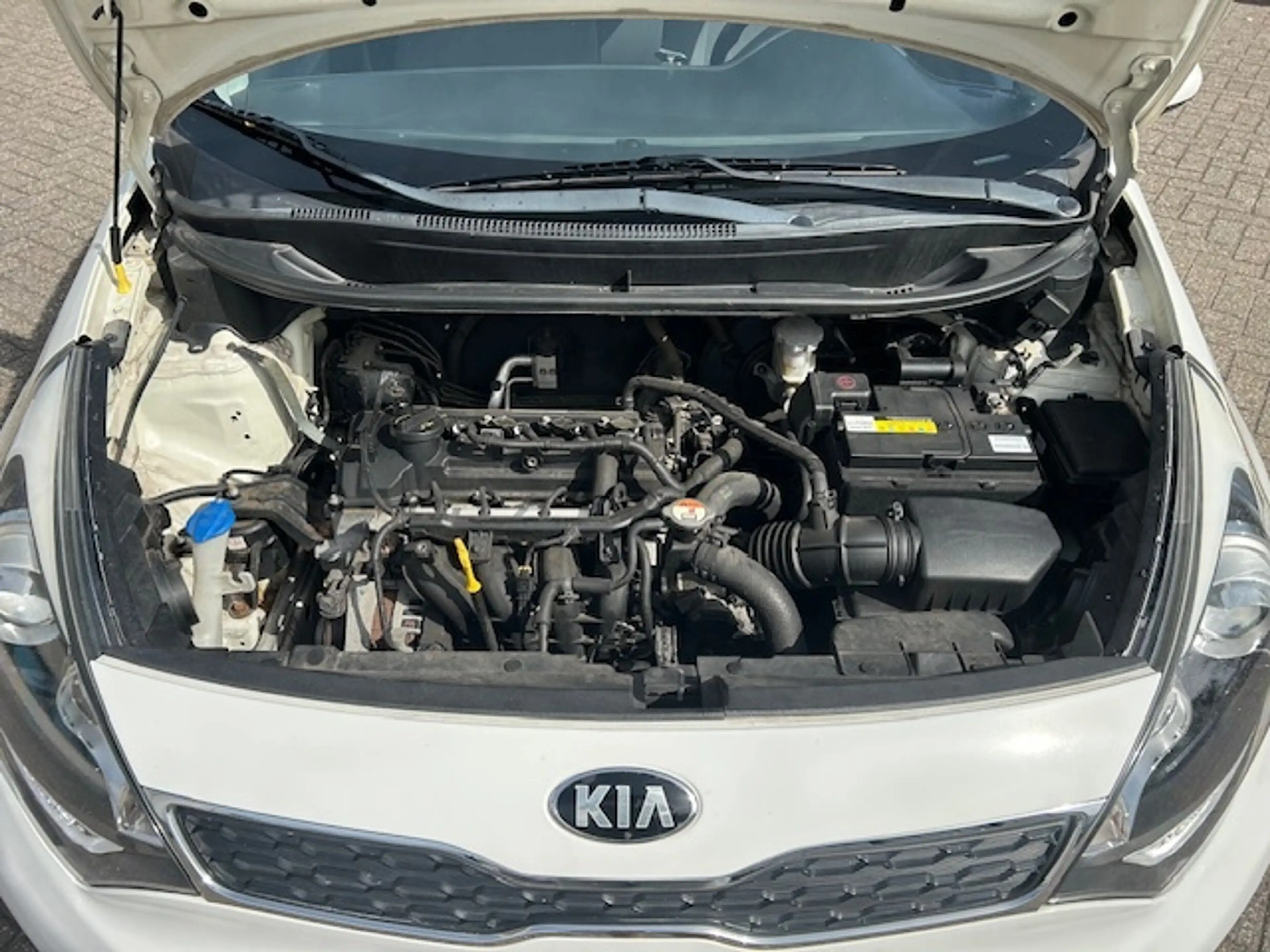 Kia Rio 1.2 CVVT BusinessL. CRUISE BLUETH LED NAP! — photo 11