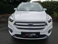 Ford Kuga Cool & Connect LED Navi Kamera Blanc - thumbnail 2