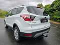 Ford Kuga Cool & Connect LED Navi Kamera Blanc - thumbnail 4