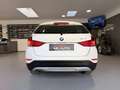 BMW X1 xDrive18d ALLRAD*NUR 66.666 KM*12 MONATE GARANT... Weiß - thumbnail 6