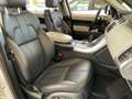 Land Rover Range Rover Sport 3.0TDV6 HSE Aut. Burdeos - thumbnail 18