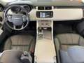Land Rover Range Rover Sport 3.0TDV6 HSE Aut. Burdeos - thumbnail 17