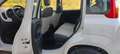 Fiat Panda Panda III 2012 0.9 t.air t. natural power 80cv E5+ Beige - thumbnail 11