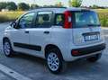 Fiat Panda Panda III 2012 0.9 t.air t. natural power 80cv E5+ Beige - thumbnail 6