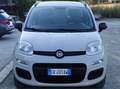 Fiat Panda Panda III 2012 0.9 t.air t. natural power 80cv E5+ Beige - thumbnail 2