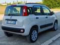 Fiat Panda Panda III 2012 0.9 t.air t. natural power 80cv E5+ Beige - thumbnail 5