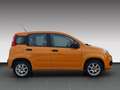 Fiat Panda Easy / Klima / Garantie / Service neu Orange - thumbnail 5