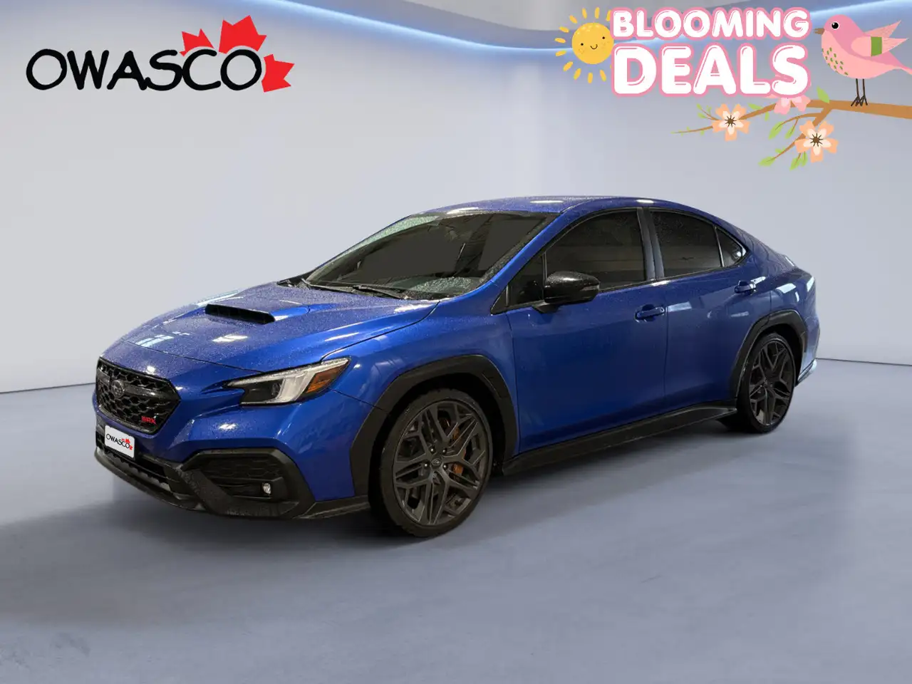 2025 Subaru WRX
