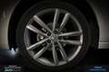Volkswagen Polo CARAT - 1.0 TSi 95cv DSG7 | Camera | Toit Ouvrant  Blanc - thumbnail 13