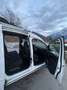Volkswagen Caddy Caddy Alltrack 2,0 TDI 4Motion Alltrack Weiß - thumbnail 13