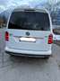Volkswagen Caddy Caddy Alltrack 2,0 TDI 4Motion Alltrack Weiß - thumbnail 4
