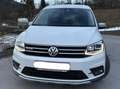 Volkswagen Caddy Caddy Alltrack 2,0 TDI 4Motion Alltrack Weiß - thumbnail 3