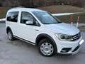 Volkswagen Caddy Caddy Alltrack 2,0 TDI 4Motion Alltrack Weiß - thumbnail 1
