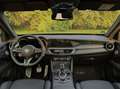 Alfa Romeo Stelvio 2.9 V6 Quadrifoglio Q4 520cv auto - thumbnail 14