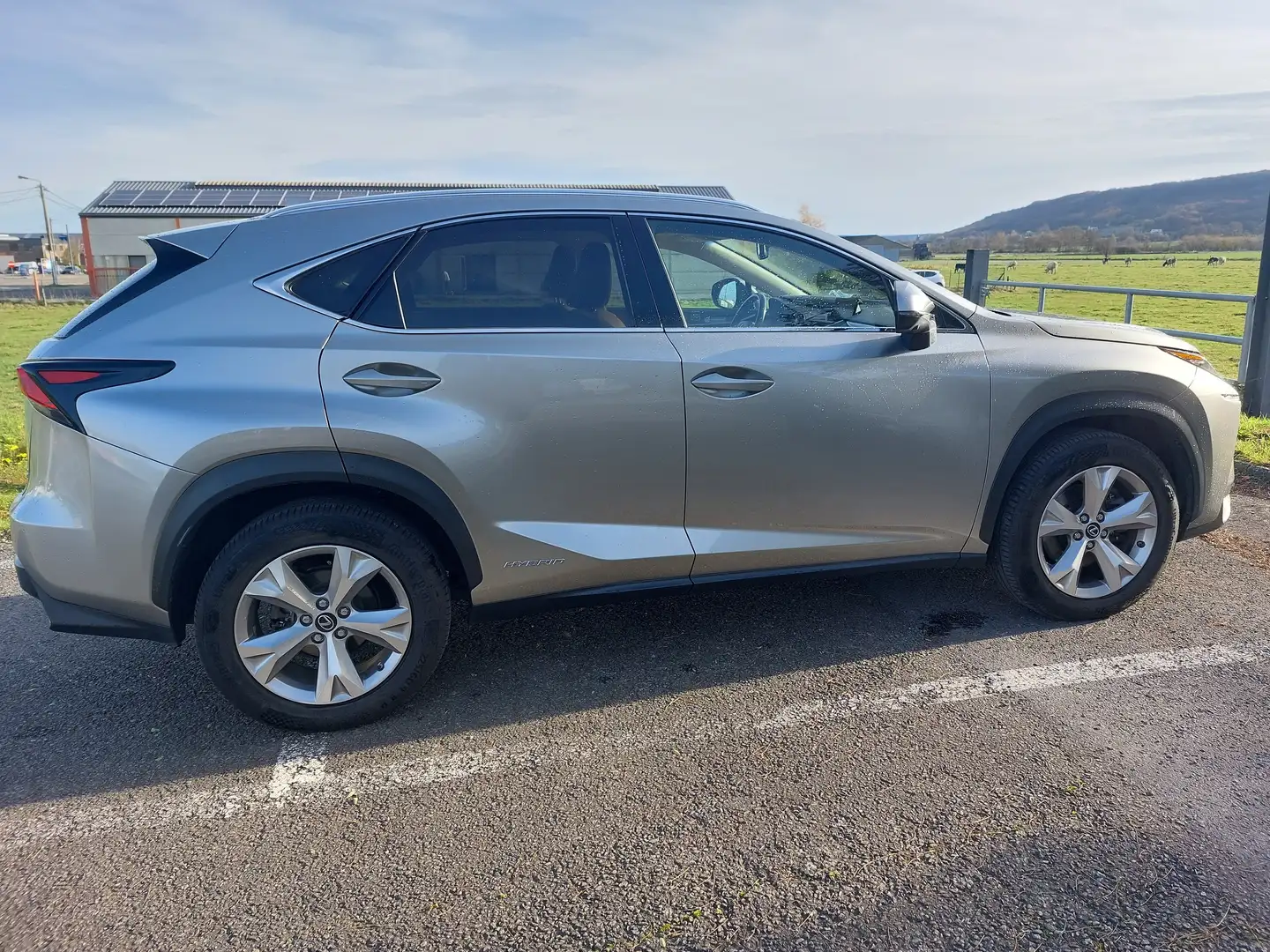 Lexus NX 300h NX 300h 2.5i AWD Privilege Line E-CVT Argent - 1
