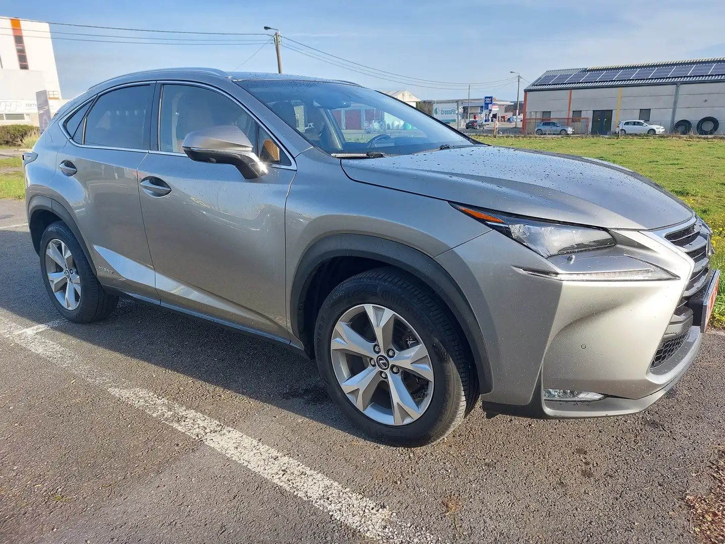 Lexus NX 300h NX 300h 2.5i AWD Privilege Line E-CVT Argent - 2
