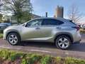 Lexus NX 300h NX 300h 2.5i AWD Privilege Line E-CVT Argent - thumbnail 5